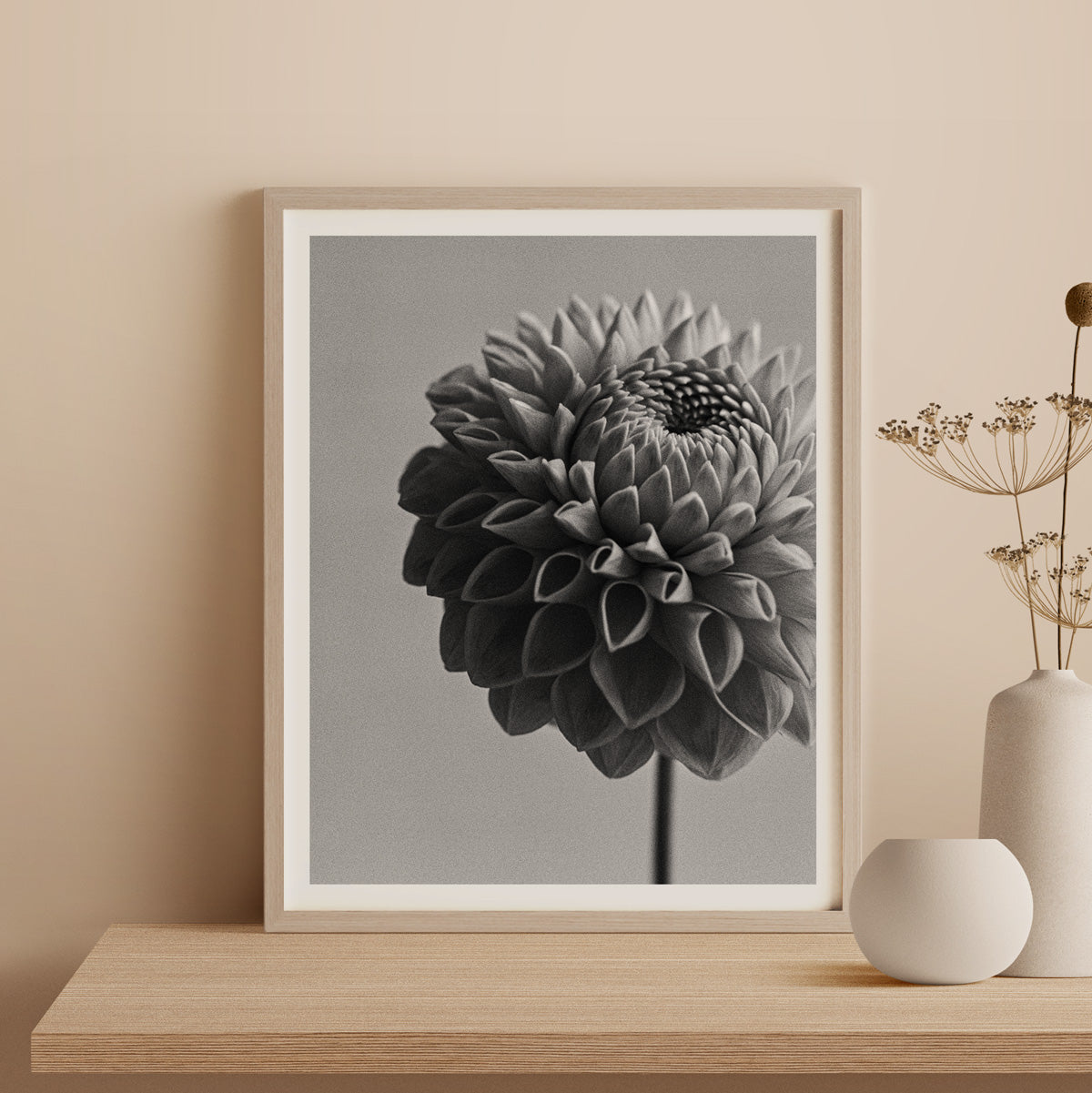 Dahlia II Fine Art Print
