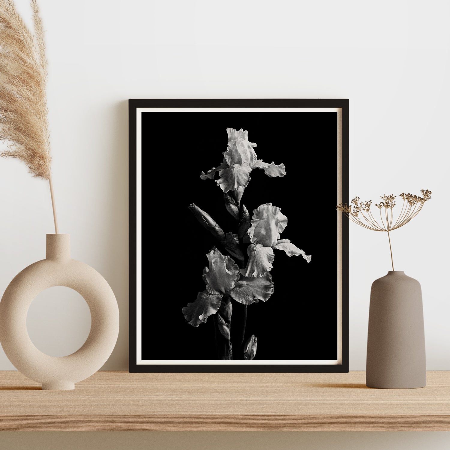 Garden Iris II Art Print