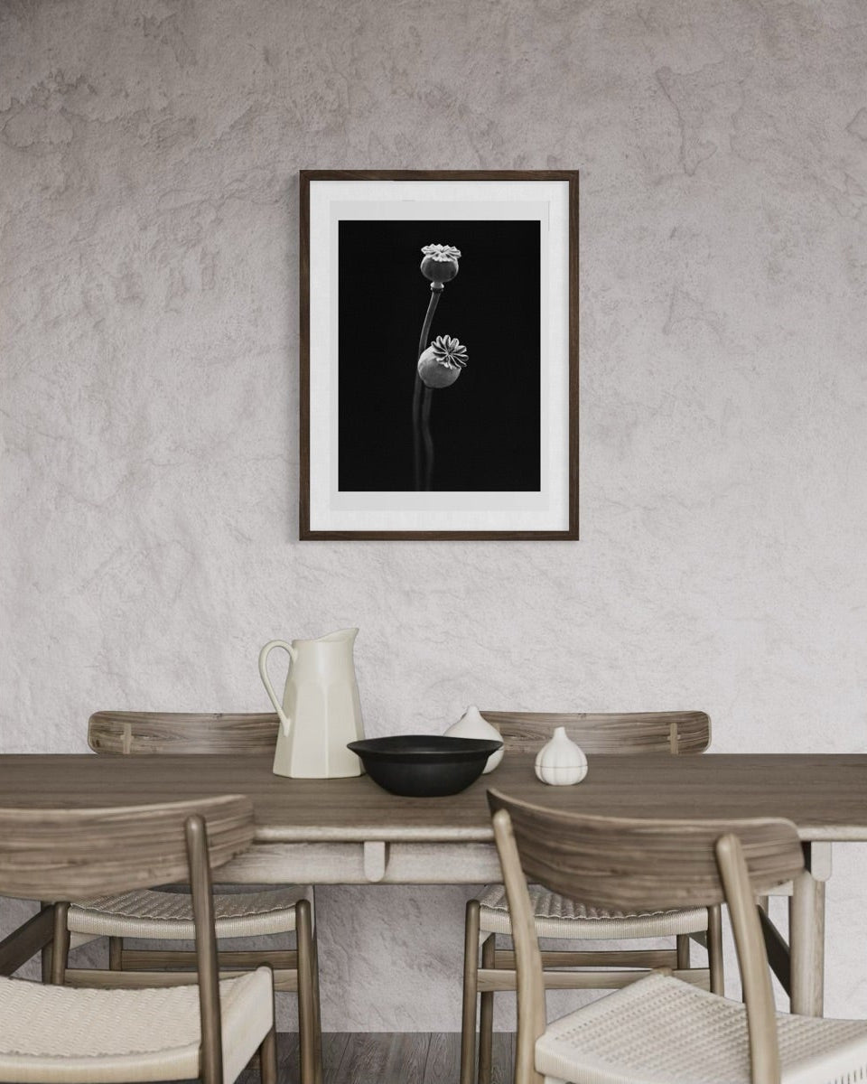 Garden Poppy II Fine Art Print