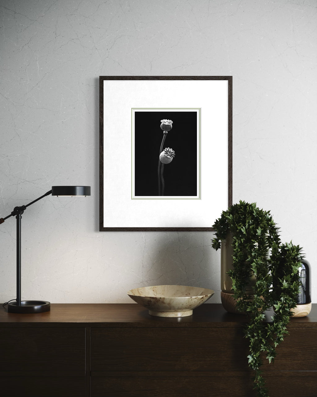 Garden Poppy II Fine Art Print