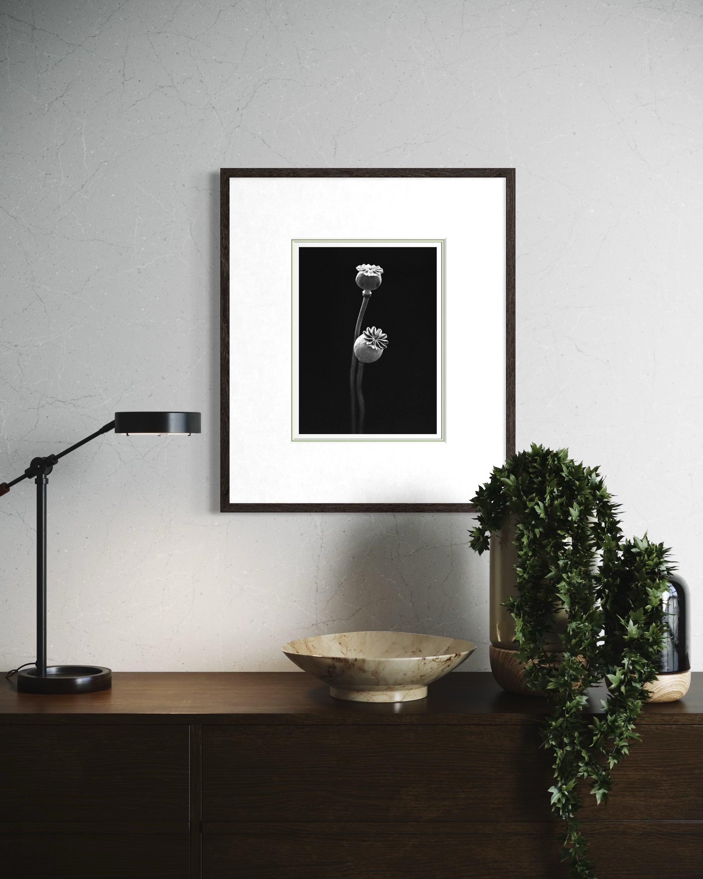 Garden Poppy II Fine Art Print