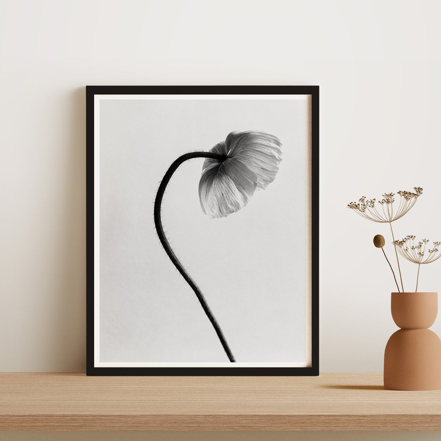 Icelandic Poppy I Art Print