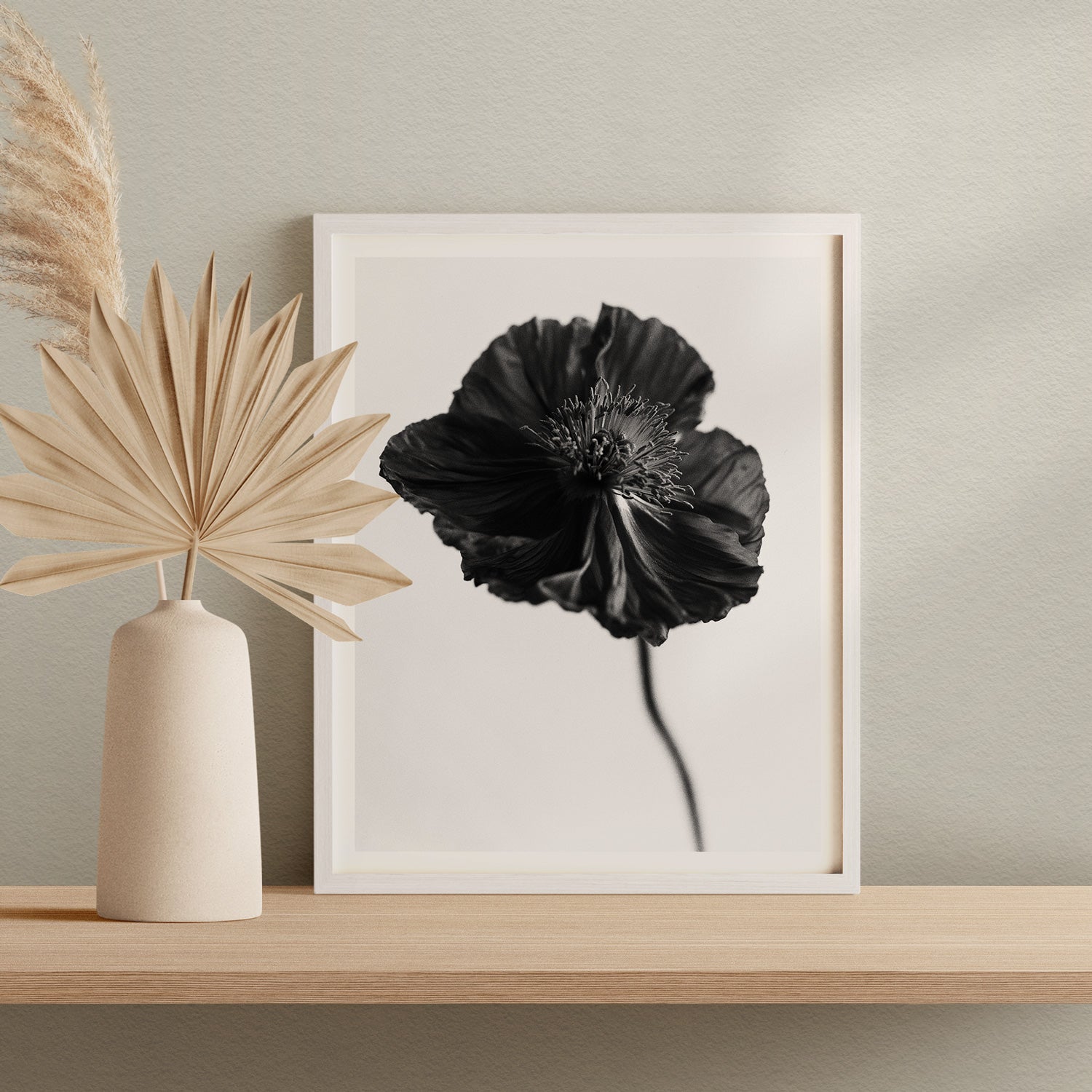 Icelandic Poppy II Fine Art Print