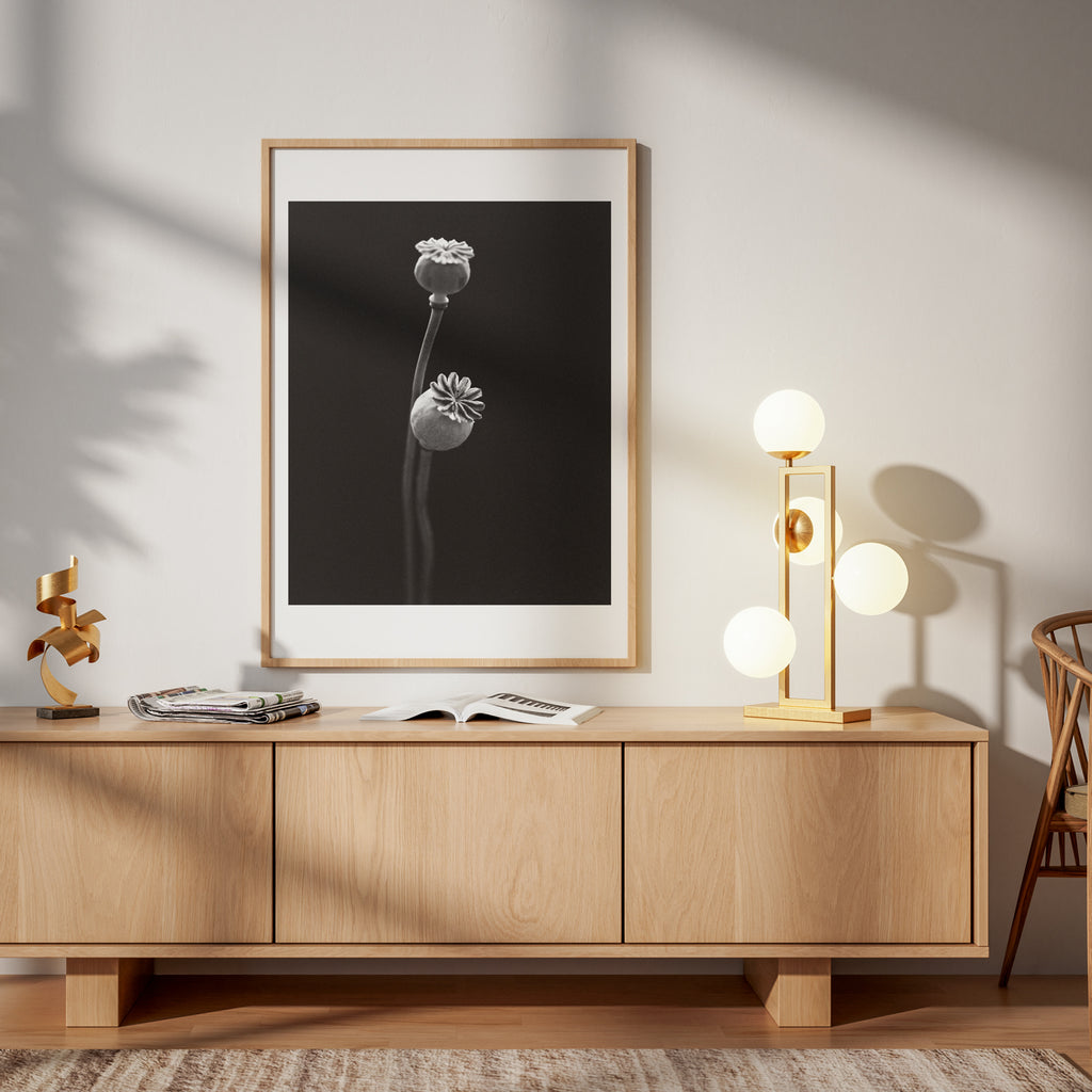 Garden Poppy II Fine Art Print