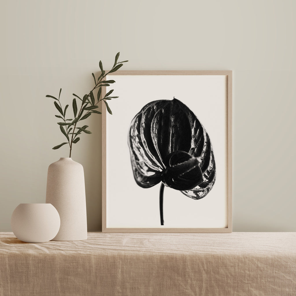 Red Anthurium I Fine Art Print