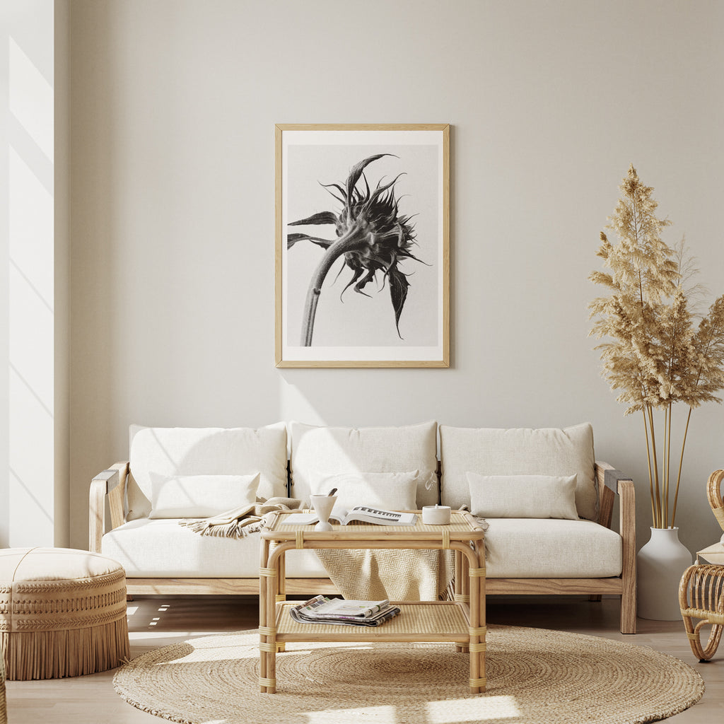 Sunflower Light I Fine Art Print