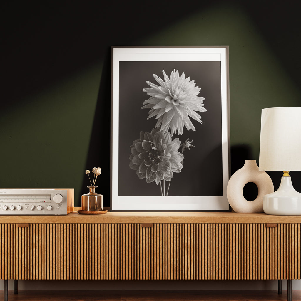 Two Dahlias I Fine Art Print