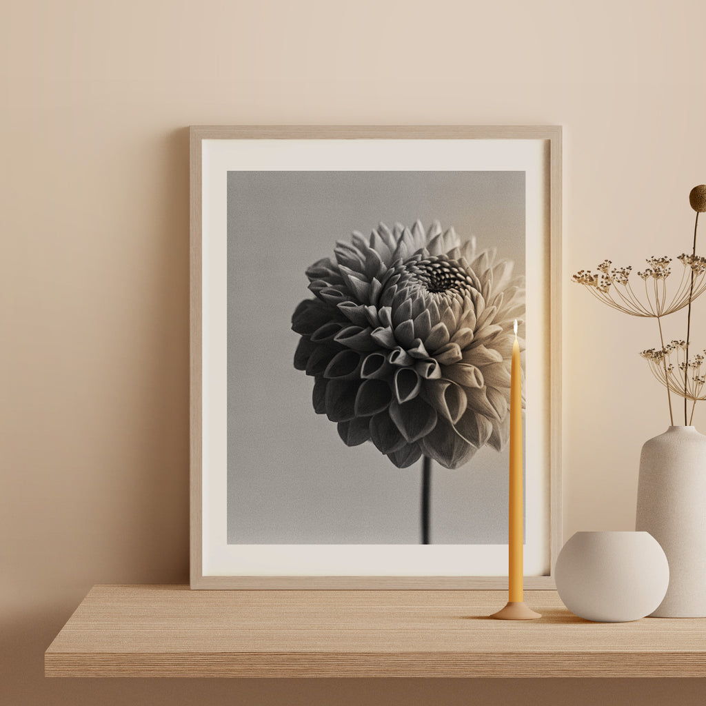 Dahlia II Art Print