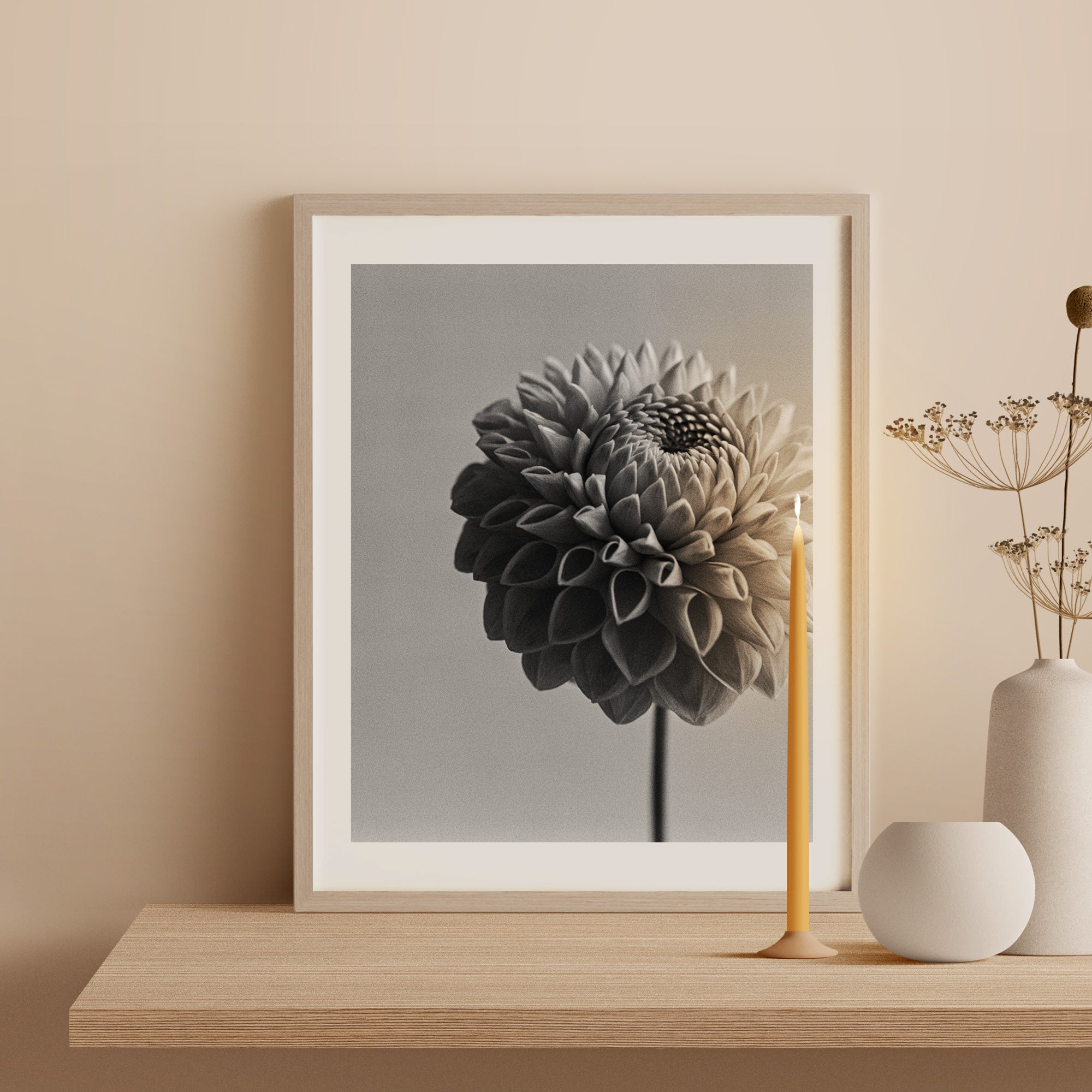 Dahlia II Art Print