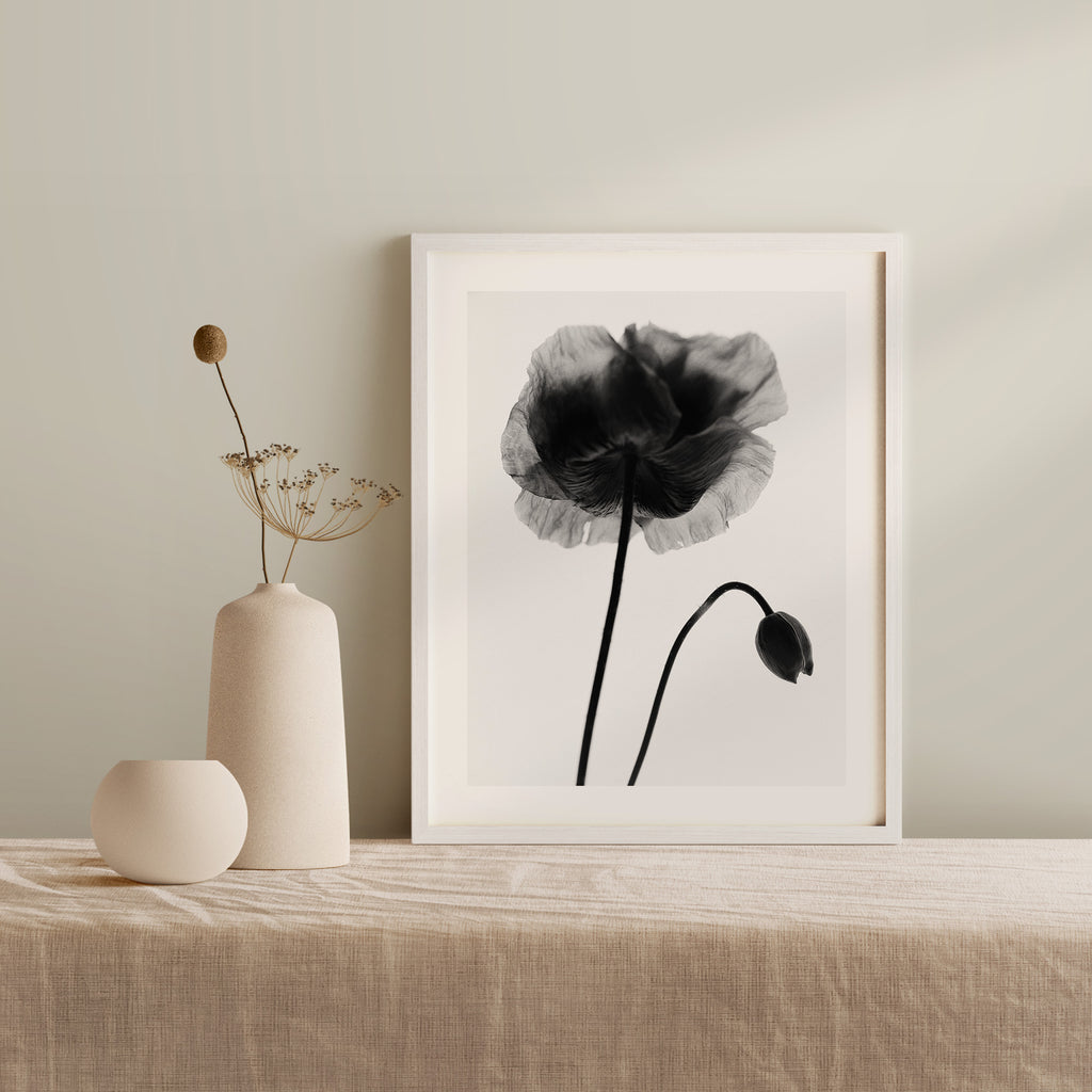 Garden Poppy I Art Print